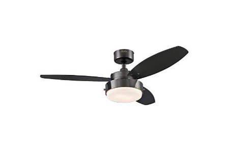 Black Ceiling Fan